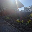 표선환승정류장 이미지