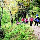 산약초 동의보감 이미지