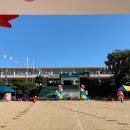 이황초등학교 이미지