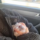 온동물병원 이미지