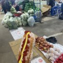 3박4일 제주 여행 식당후기 (비자림길, 세화오일장, 모멘터리커피, 평대갈치공장, 조간대식당, 대복해장국)