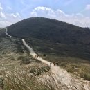 황매산 억새축제 이미지