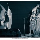 라퍼커션 이미지