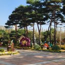 북구청 앞 광장 이미지