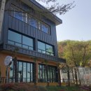 여우와 포도 | 김천 애견동반 카페 여우와 포도 돌잔치 전시 대관으로도 추천드리는 디저트 맛집 부곡동 카페