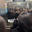 쿠잇 이미지