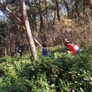 신기산성약수터 이미지