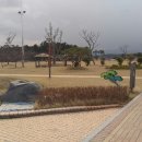 동계닭집 이미지