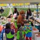 주몽농장 이미지