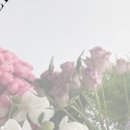 디스모먼트