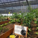 양산농장 이미지