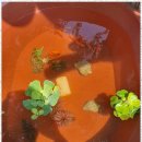 내친구의집 펜션 이미지