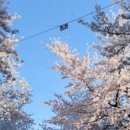 천지공설시장 이미지