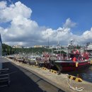 제주밧데리 | 서귀포밧데리 배터리프랜즈 제주지사에서 누려보는 편리함