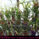 우리뷔페 이미지