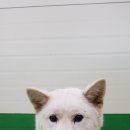 정남파출소 이미지