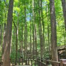 대림114e편한단지내공인중개사사무소 이미지