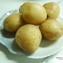 다인농산 | 쫀득한 식감의 조풍감자 맛있네!!