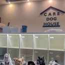 케어독 하우스 이미지