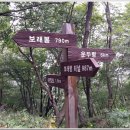 평창4교 - 평창군 | 평창4교