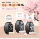 타이어백화점 네이버블로그