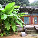 직지사길 이미지