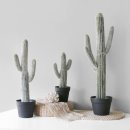 미 스타일