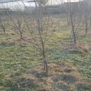 포포농장 이미지