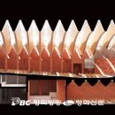 대지의 염원 이미지