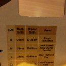 행복한 멍이세상 이미지