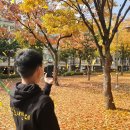 늘봄어린이공원 Daum카페
