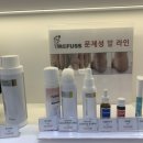 레푸스 연산점 이미지