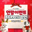 미유펫대구 강아지분양고양이분양(도그플러스동물병원) | 대구강아지 고양이분양 추천 미유펫대구점 12월 이벤트