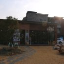 카페그꽃 이미지