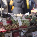 진해중앙고삼거리 이미지