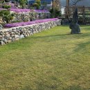 석란정펜션 이미지