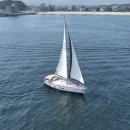 대한민국 세탁소 이미지