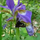 만천초등학교 병설유치원 이미지