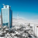 (단기)라이브커머스 이미지