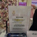 월드캣 | [공지] 롯데월드 퍼레이드 공주: 샤론캣 드레스샵 후기