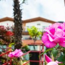 하늘빛바다펜션 이미지