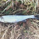 반산낚시터 이미지