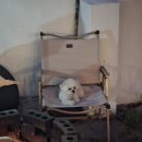 철이네 촌캉스 이미지