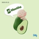 벚꽃실비 네이버블로그