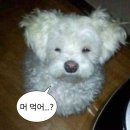 박대박맛집 이미지