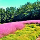 중앙제2근린공원 이미지