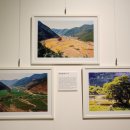 완월동157 이미지