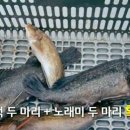 낚시매니아