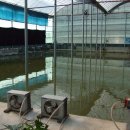 화현낚시터 이미지