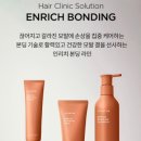 어네브 이미지